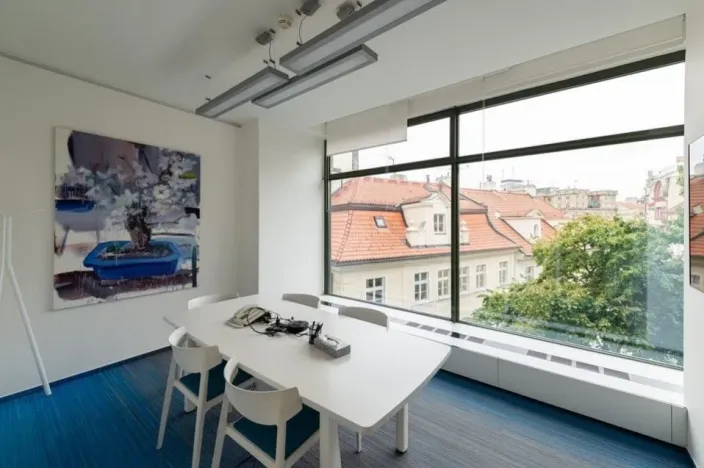 Pronájem kanceláře, Praha - Nové Město, Václavské náměstí, 335 m2