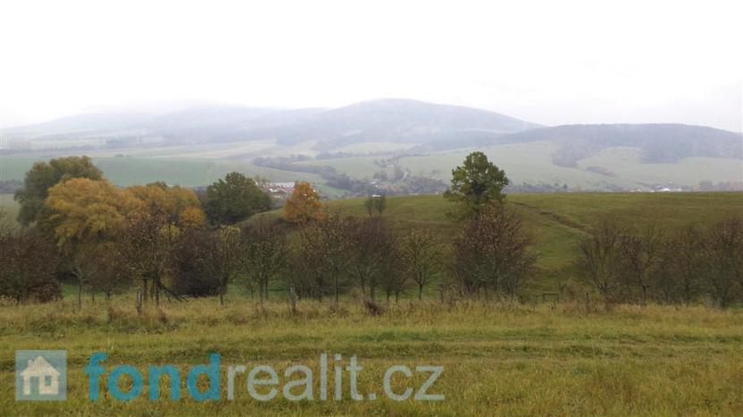 Prodej zemědělské půdy, Vlachovice, 6246 m2