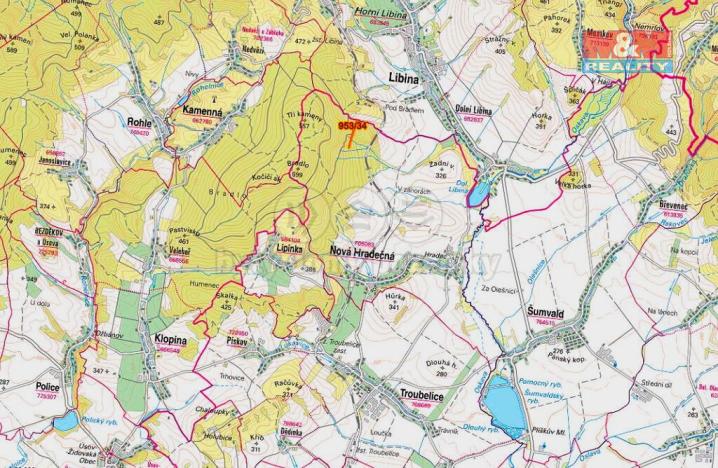 Prodej lesa, Nová Hradečná, 5346 m2