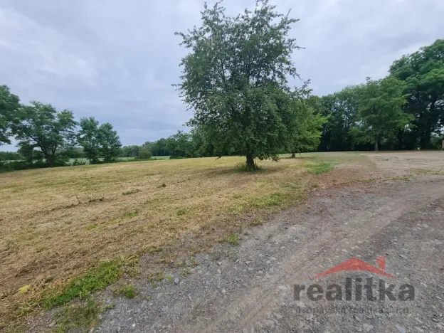 Prodej komerčního pozemku, Brumovice, Mostní, 6000 m2