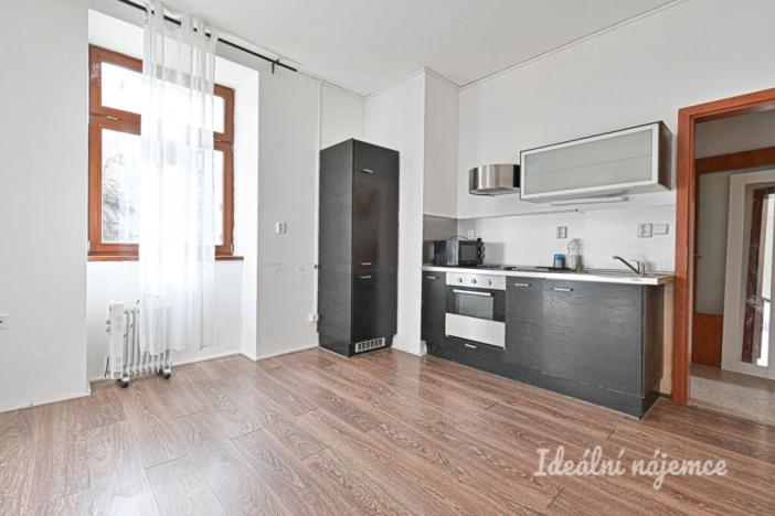 Pronájem bytu 1+kk, Brno - Veveří, Kotlářská, 20 m2