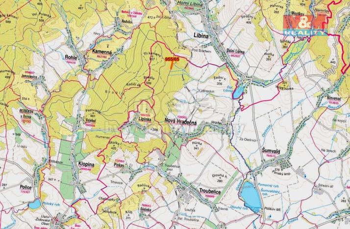 Prodej lesa, Nová Hradečná, 6647 m2