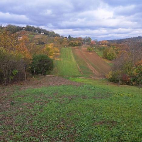 Prodej zahrady, Sivice, 1458 m2