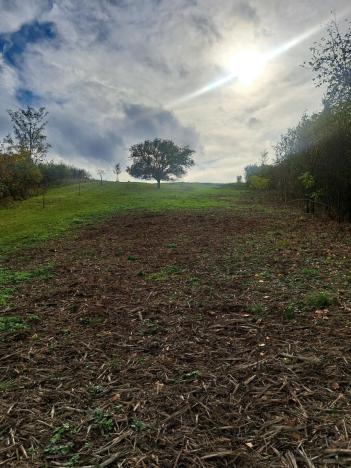 Prodej zahrady, Sivice, 1458 m2