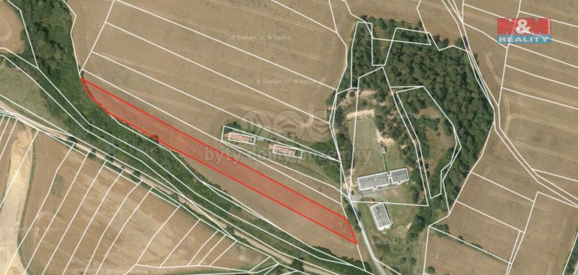 Prodej trvalého travního porostu, Mladotice, 3850 m2