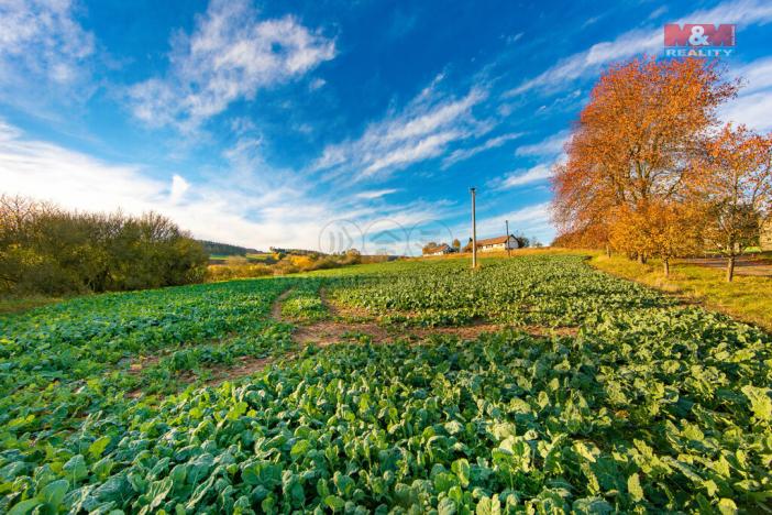Prodej trvalého travního porostu, Mladotice, 3850 m2