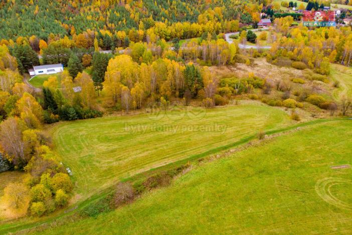 Prodej zemědělské půdy, Cvikov - Drnovec, 6985 m2