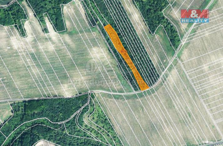 Prodej zemědělské půdy, Čejč, 5686 m2