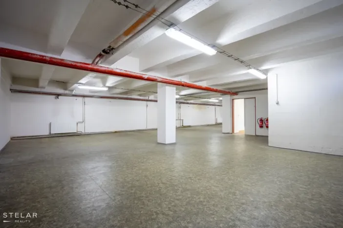 Pronájem skladu, Krnov, Revoluční, 229 m2