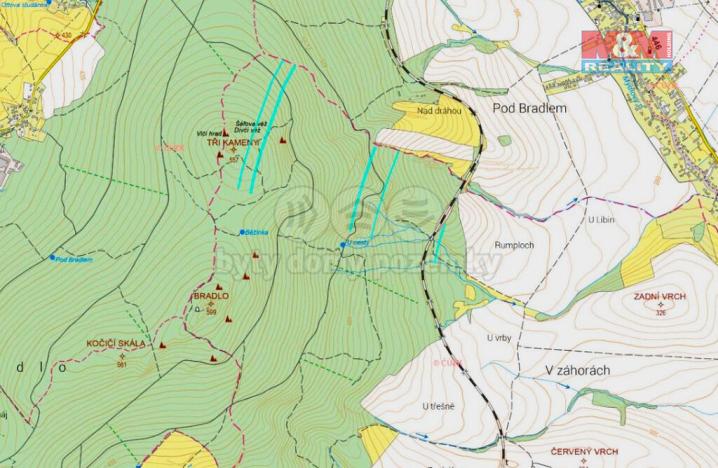 Prodej lesa, Nová Hradečná, 28654 m2