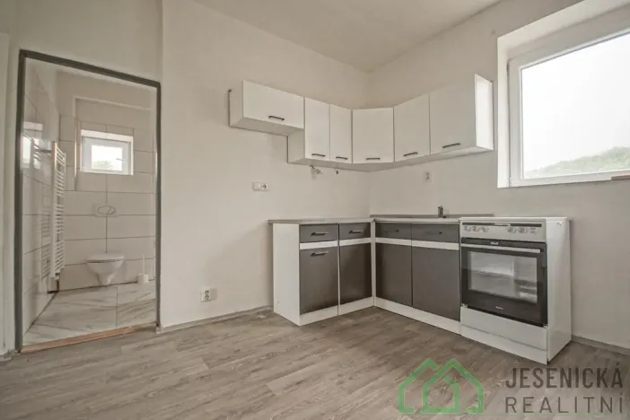 Pronájem bytu 1+1, Vápenná, 42 m2