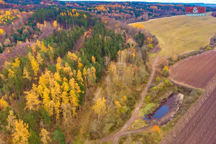 Prodej lesa, Tuchořice, 2921 m2