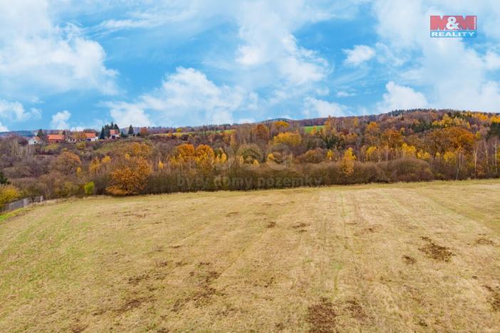 Prodej trvalého travního porostu, Tuchořice, 4242 m2