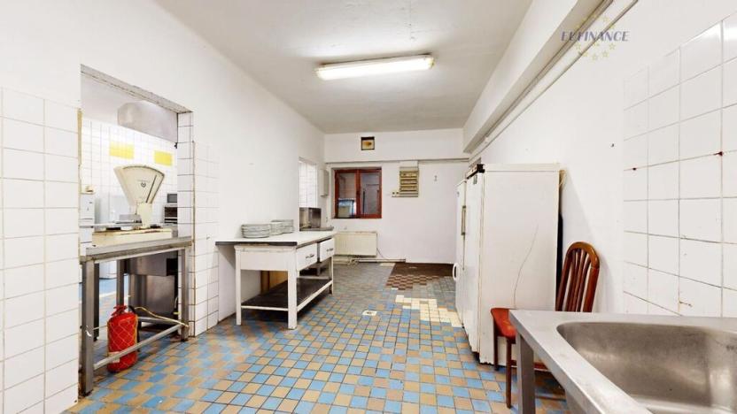 Prodej obchodního prostoru, Kralupy nad Vltavou, Hostivítova, 485 m2