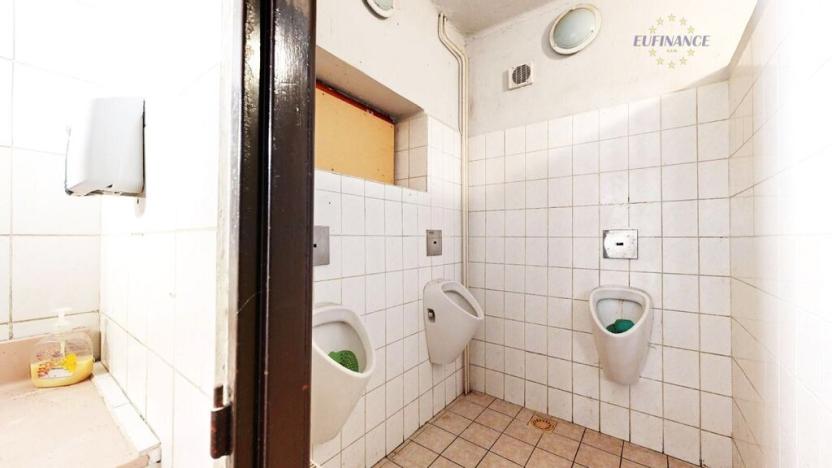 Prodej obchodního prostoru, Kralupy nad Vltavou, Hostivítova, 485 m2