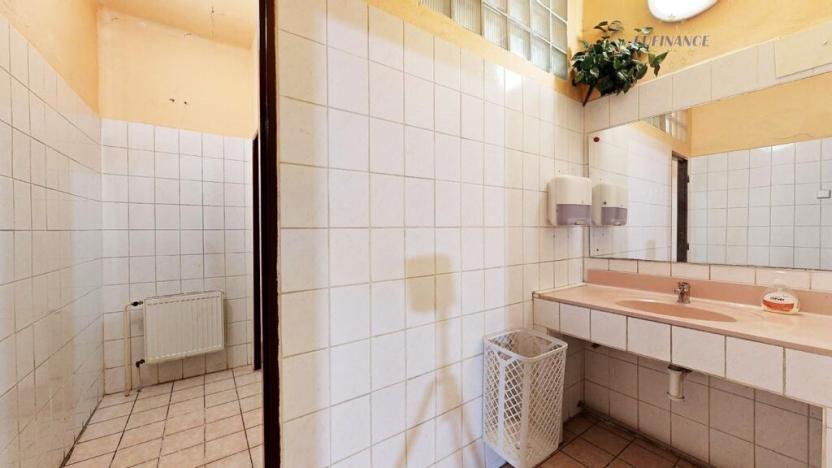 Prodej obchodního prostoru, Kralupy nad Vltavou, Hostivítova, 485 m2