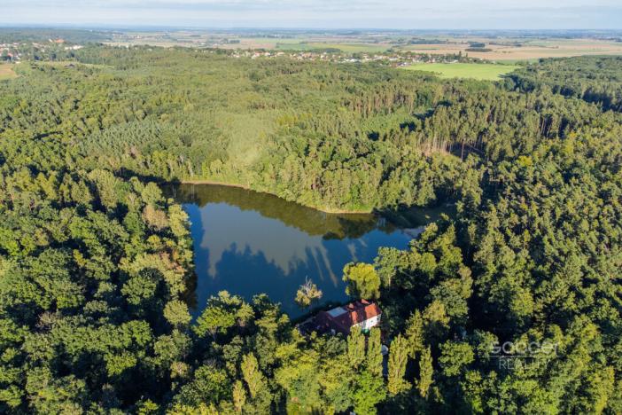 Prodej chalupy, Loučeň - Patřín, Jivák, 1150 m2