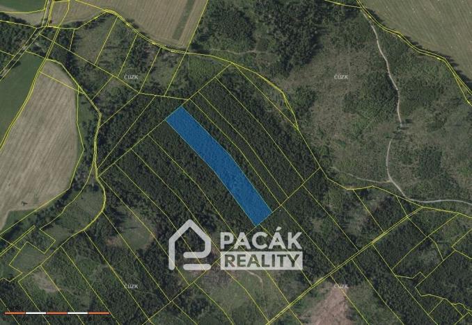 Prodej lesa, Dolany, 41845 m2