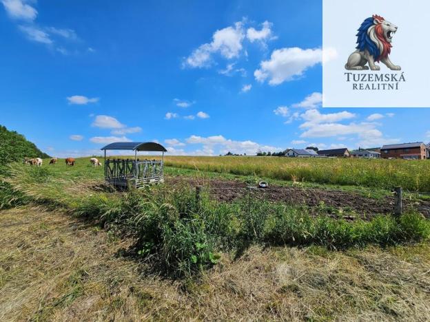 Prodej pozemku pro bydlení, Kořenec, 119009 m2