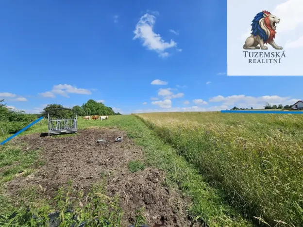 Prodej pozemku pro bydlení, Kořenec, 119009 m2