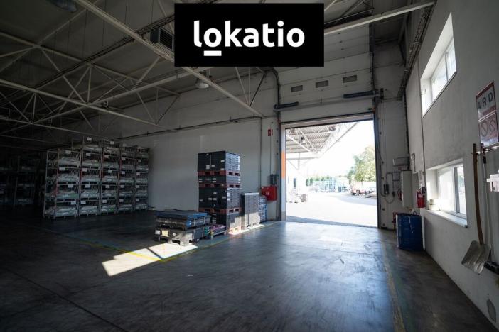 Pronájem skladu, Bílina - Mostecké Předměstí, 736 m2