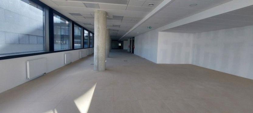 Pronájem kanceláře, Praha - Libeň, Boudníkova, 517 m2