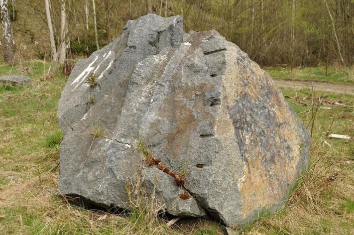 Prodej pozemku, Chodová Planá, 19816 m2