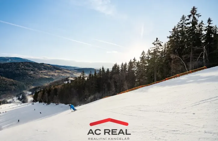 Prodej bytu 4+kk, Vrchlabí - Hořejší Vrchlabí, Horská, 155 m2