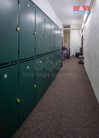 Prodej obchodního prostoru, Pardubice - Bílé Předměstí, Dašická, 1230 m2