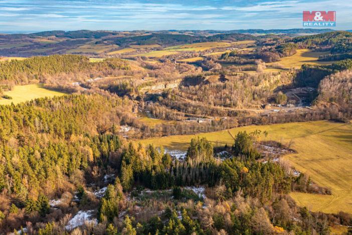 Prodej lesa, Malenice, 13448 m2