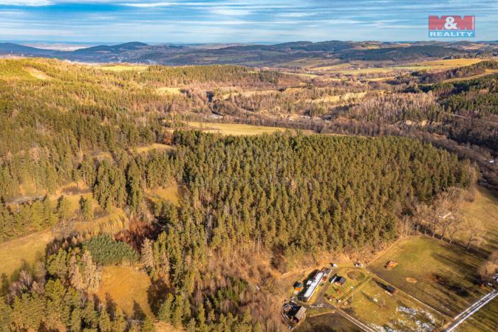 Prodej lesa, Malenice, 13448 m2