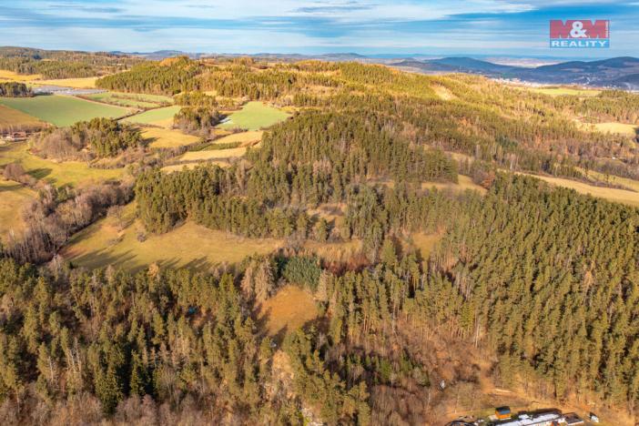 Prodej lesa, Malenice, 13448 m2