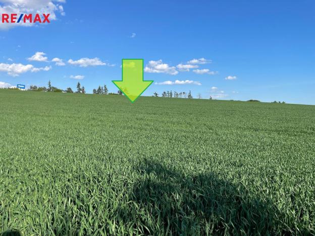 Prodej zemědělské půdy, Bystročice, 7076 m2