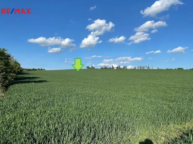 Prodej zemědělské půdy, Bystročice, 7076 m2