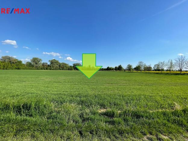 Prodej zemědělské půdy, Bystročice, 13726 m2