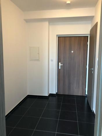 Pronájem bytu 2+kk, Pardubice - Zelené Předměstí, Pod Vinicí, 57 m2