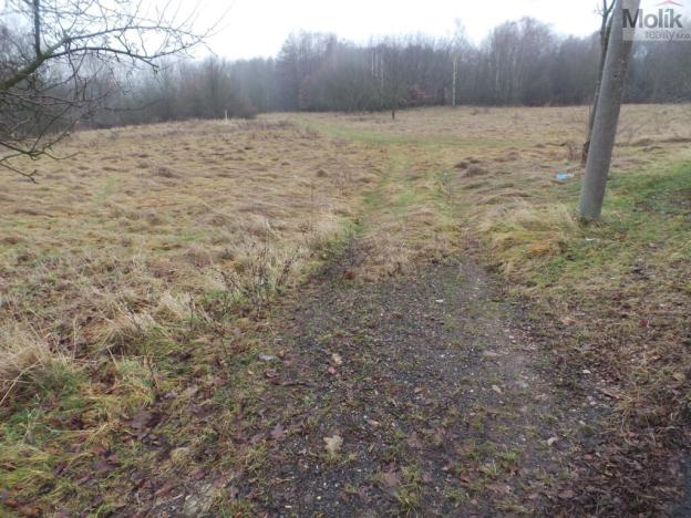 Prodej pozemku pro bydlení, Krupka - Vrchoslav, Slunečná, 6694 m2