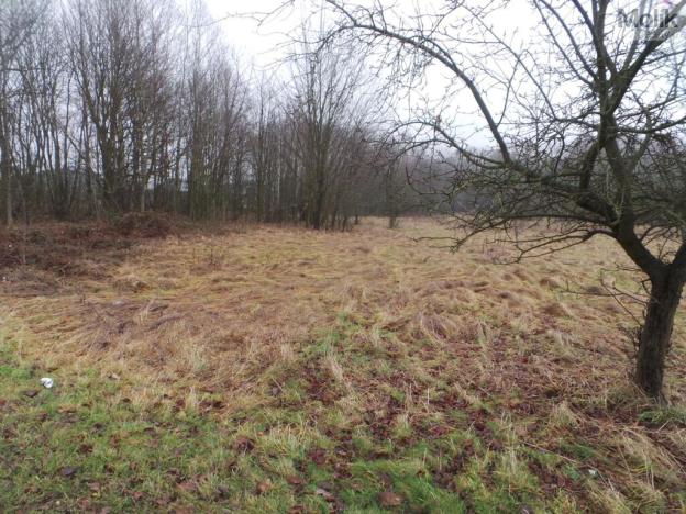 Prodej komerčního pozemku, Krupka - Vrchoslav, Slunečná, 9445 m2