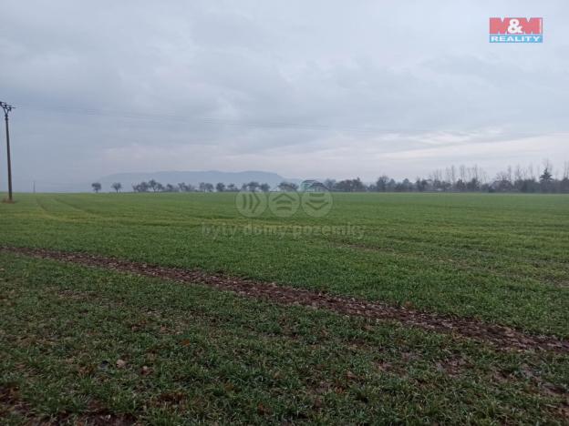 Prodej pole, Mnichovo Hradiště - Podolí, 162 m2