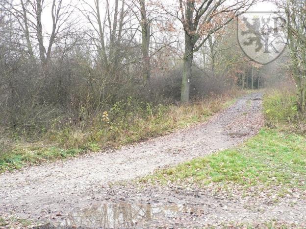 Prodej pozemku, Blatná, 3100 m2