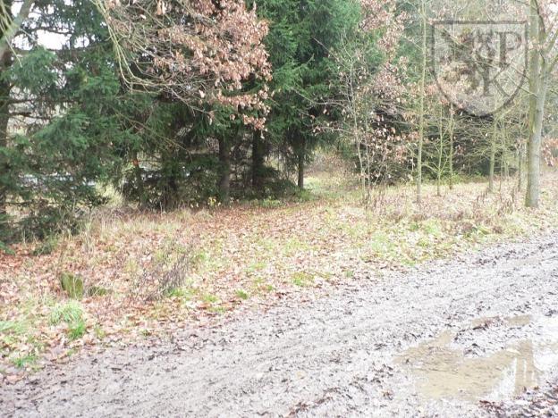 Prodej pozemku, Blatná, 3100 m2