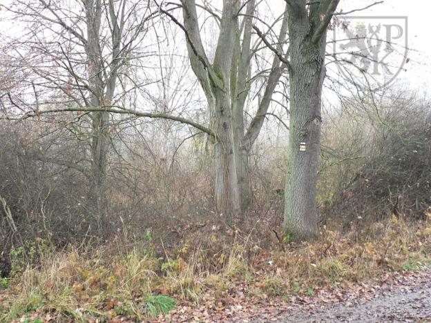 Prodej pozemku, Blatná, 3100 m2