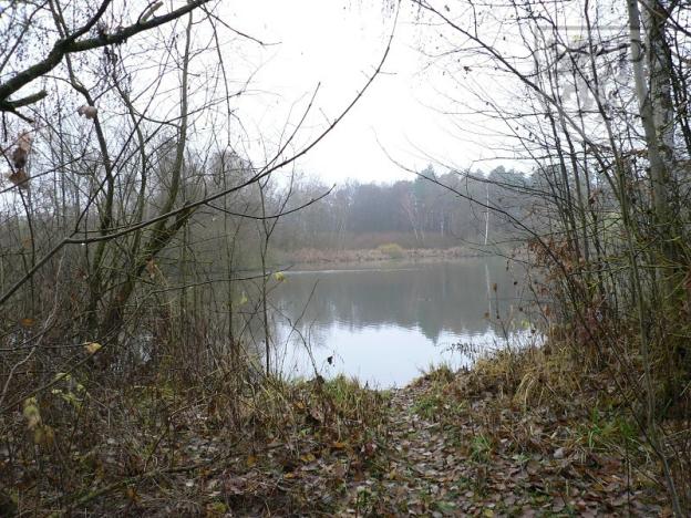 Prodej pozemku, Blatná, 3100 m2