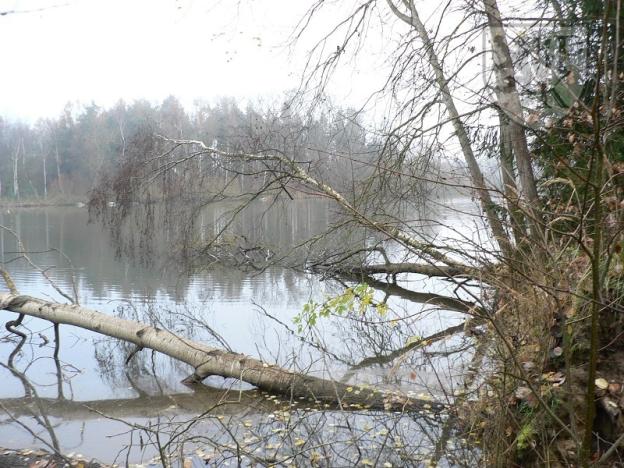 Prodej pozemku, Blatná, 3100 m2