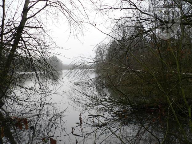 Prodej pozemku, Blatná, 3100 m2