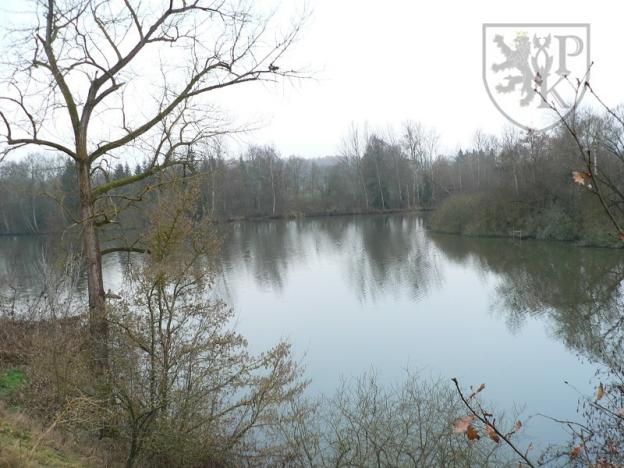 Prodej pozemku, Blatná, 3100 m2