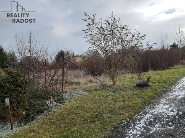 Prodej trvalého travního porostu, Chbany, 585 m2