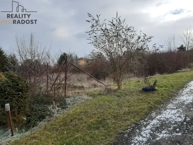 Prodej trvalého travního porostu, Chbany, 585 m2