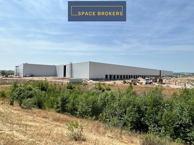 Pronájem skladu, Přehýšov, 20000 m2