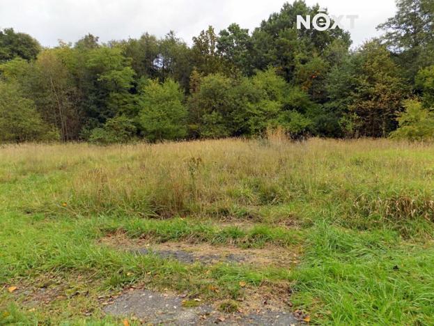 Prodej pozemku, Skalice u České Lípy, 4175 m2